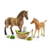 Schleich Horse Club Sarah's Baby Animal Care Toy -Wrangler || Schleich || ROPER Shop 1de58574e2e82f06f389efd2bc0caa41