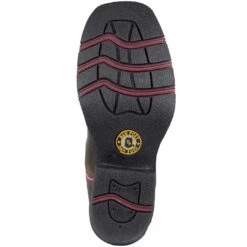 Dan Post Girls' Majesty Square Toe Cowgirl Boots -Wrangler || Schleich || ROPER Shop DNP DPC2947 5