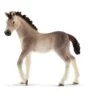 Schleich Andalusian Foal Toy 1 Schleich Andalusian Foal Toy -Wrangler || Schleich || ROPER Shop SNA 13822