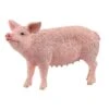 Schleich Kid's Pig Toy -Wrangler || Schleich || ROPER Shop schleich kid s pig toy