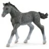 Schleich Trakehner Foal Toy -Wrangler || Schleich || ROPER Shop schleich trakehner foal toy