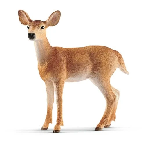 Schleich White-tailed Doe Toy 1 Schleich White-tailed Doe Toy -Wrangler || Schleich || ROPER Shop schleich white tailed doe toy
